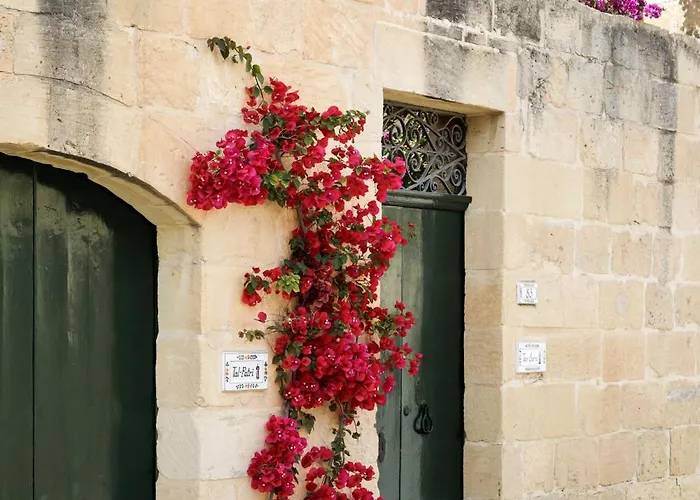 Dar Tal-patri With Private Pool Għammar